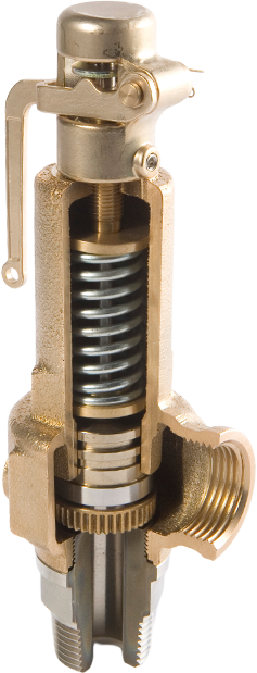 Safety Relief Valve
